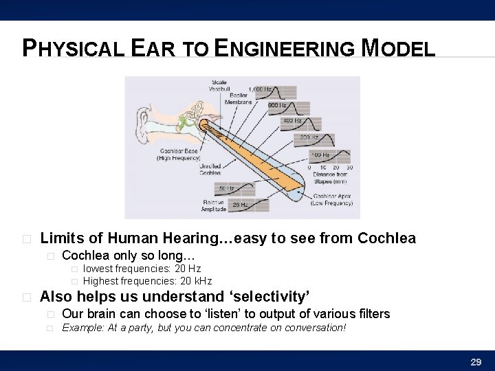 PHYSICAL EAR TO ENGINEERING MODEL � Limits of Human Hearing…easy to see from Cochlea