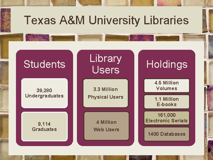 Texas A&M University Libraries Students 39, 280 Undergraduates 9, 114 Graduates Library Users 3.