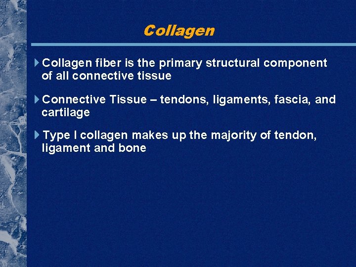 Collagen fiber is the primary structural component of all connective tissue Connective Tissue –
