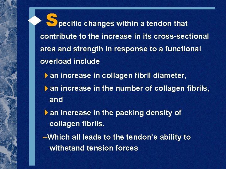  Specific changes within a tendon that contribute to the increase in its cross-sectional