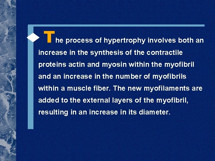  The process of hypertrophy involves both an increase in the synthesis of the