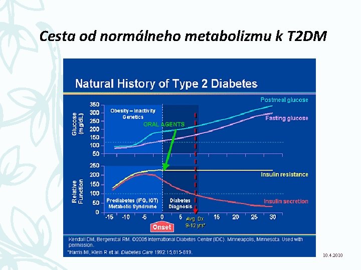 Cesta od normálneho metabolizmu k T 2 DM dias 203 10. 4. 2010 