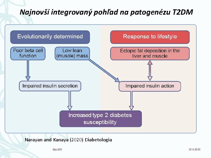 Najnovší integrovaný pohľad na patogenézu T 2 DM Narayan and Kanaya (2020) Diabetologia dias