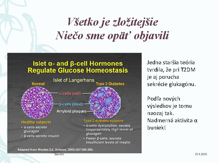 Všetko je zložitejšie Niečo sme opäť objavili Jedna staršia teória tvrdila, že pri T