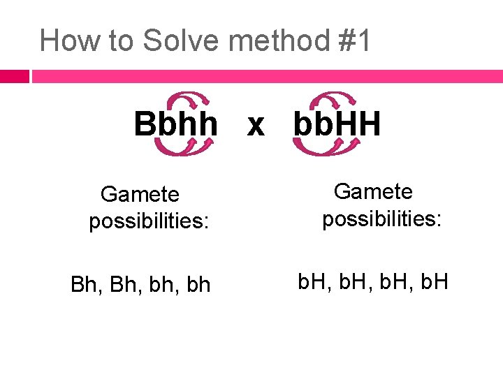 How to Solve method #1 Bbhh x bb. HH Gamete possibilities: Bh, bh, bh How to Solve method #1 Bbhh x bb. HH Gamete possibilities: Bh, bh, bh