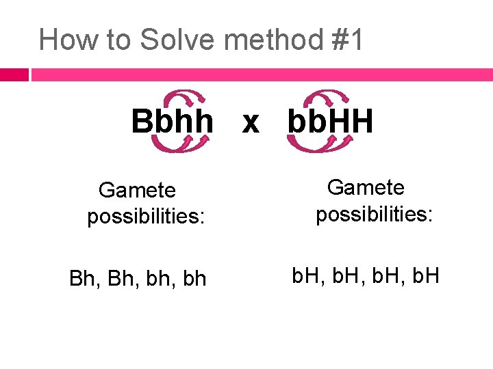 How to Solve method #1 Bbhh x bb. HH Gamete possibilities: Bh, bh, bh