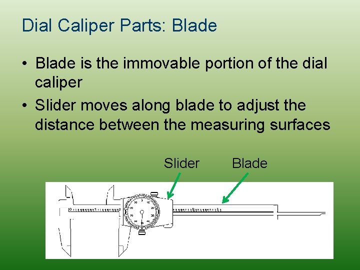 Dial Caliper Parts: Blade • Blade is the immovable portion of the dial caliper