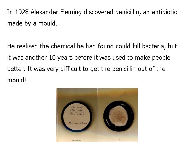 In 1928 Alexander Fleming discovered penicillin, an antibiotic made by a mould. He realised