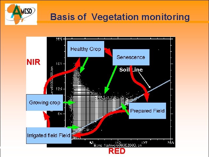Basis of Vegetation monitoring NIR RED 