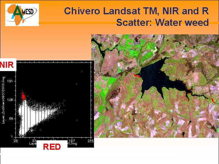 Chivero Landsat TM, NIR and R Scatter: Water weed NIR RED 