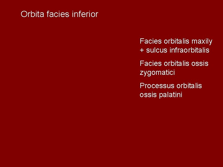 Orbita facies inferior Facies orbitalis maxily + sulcus infraorbitalis Facies orbitalis ossis zygomatici Processus