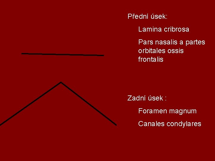 Přední úsek: Lamina cribrosa Pars nasalis a partes orbitales ossis frontalis Zadní úsek :