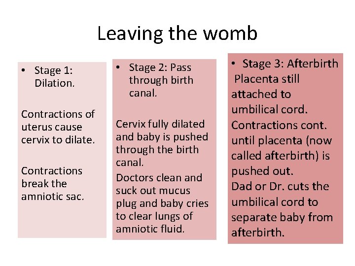 Leaving the womb • Stage 1: Dilation. Contractions of uterus cause cervix to dilate.