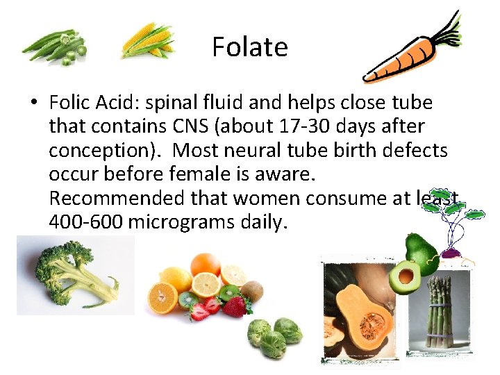 Folate • Folic Acid: spinal fluid and helps close tube that contains CNS (about