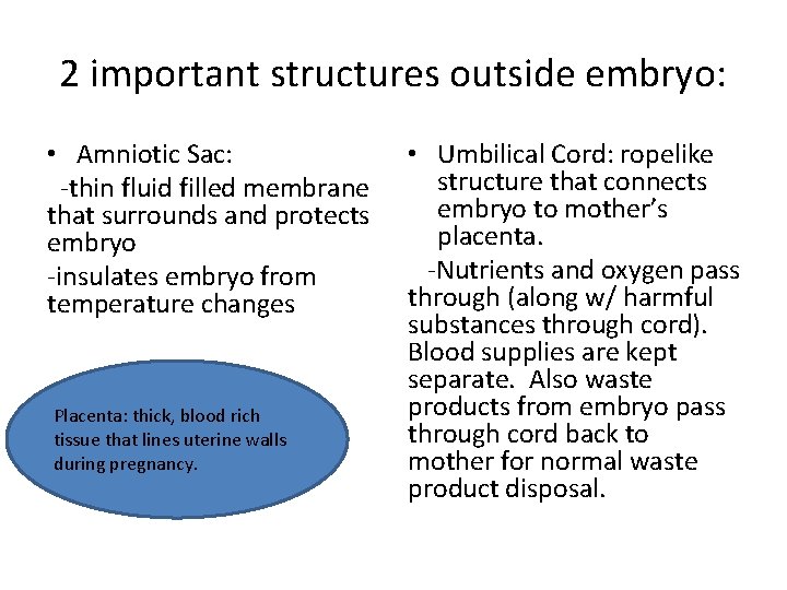 2 important structures outside embryo: • Amniotic Sac: -thin fluid filled membrane that surrounds