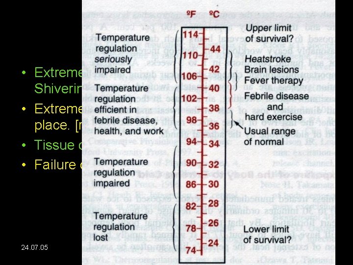 Further Regulation • Extreme cold: Tone in skeletal muscles, Shivering, clothing, moving to hot