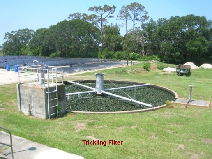 Trickling Filter 