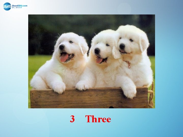 3 Three 