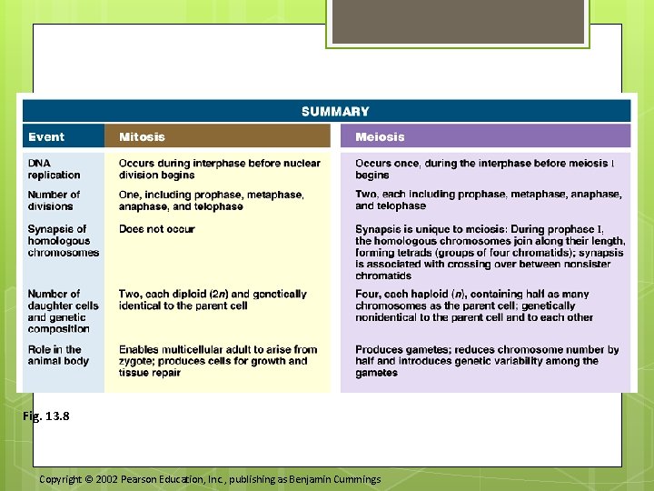 Fig. 13. 8 Copyright © 2002 Pearson Education, Inc. , publishing as Benjamin Cummings