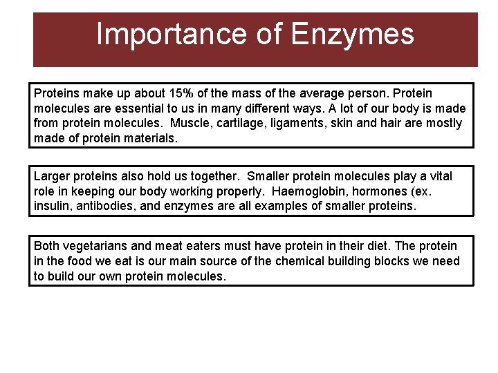 Importance of Enzymes Proteins make up about 15% of the mass of the average Importance of Enzymes Proteins make up about 15% of the mass of the average