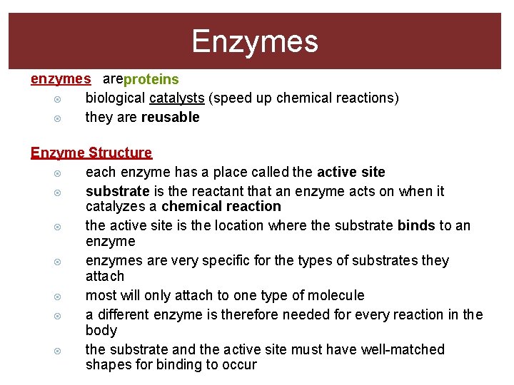 Enzymes enzymes areproteins biological catalysts (speed up chemical reactions) they are reusable Enzyme Structure Enzymes enzymes areproteins biological catalysts (speed up chemical reactions) they are reusable Enzyme Structure