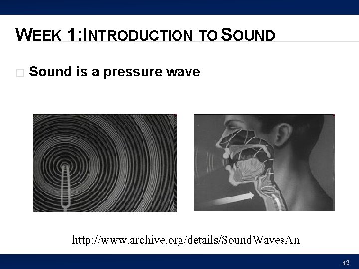 WEEK 1: INTRODUCTION TO SOUND � Sound is a pressure wave http: //www. archive.