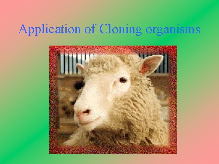 Application of Cloning organisms 