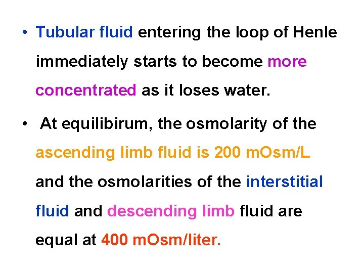  • Tubular fluid entering the loop of Henle immediately starts to become more