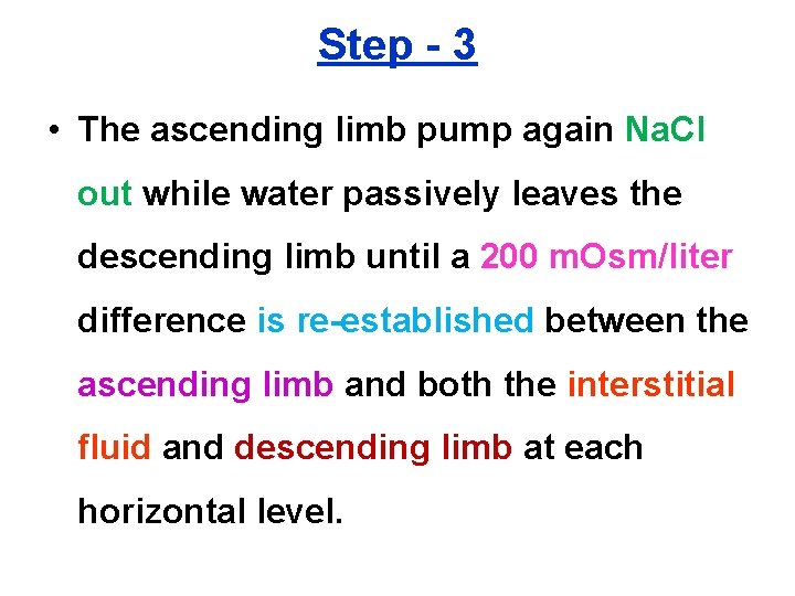 Step - 3 • The ascending limb pump again Na. Cl out while water