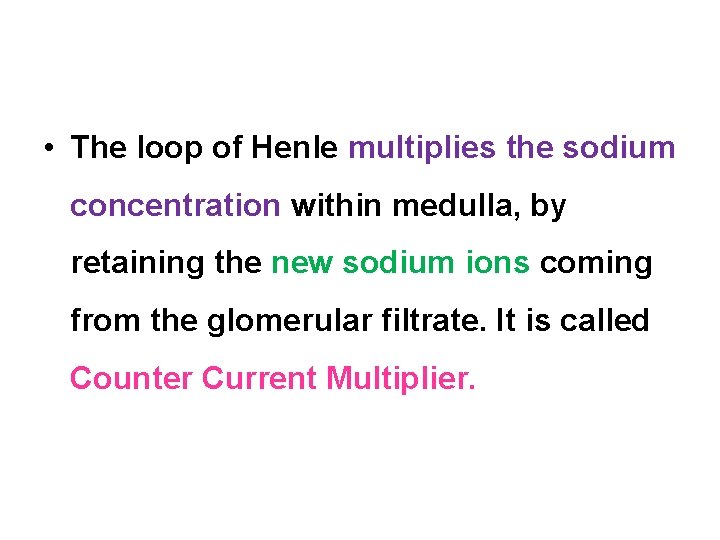  • The loop of Henle multiplies the sodium concentration within medulla, by retaining