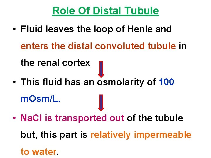 Role Of Distal Tubule • Fluid leaves the loop of Henle and enters the