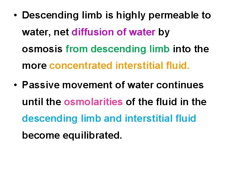  • Descending limb is highly permeable to water, net diffusion of water by