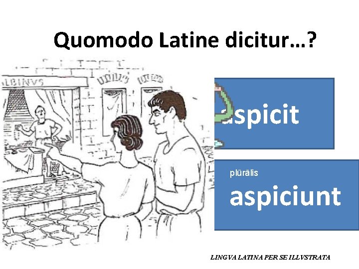 Quomodo Latine dicitur…? aspicit plūrālis aspiciunt LINGVA LATINA PER SE ILLVSTRATA 