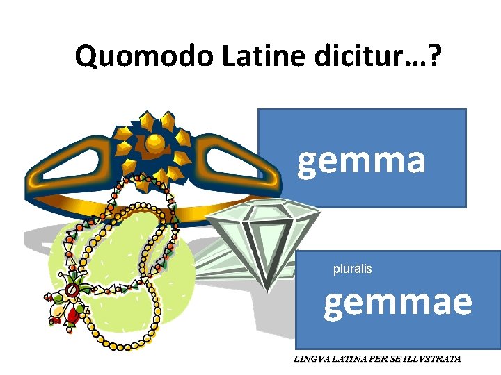 Quomodo Latine dicitur…? gemma plūrālis gemmae LINGVA LATINA PER SE ILLVSTRATA 