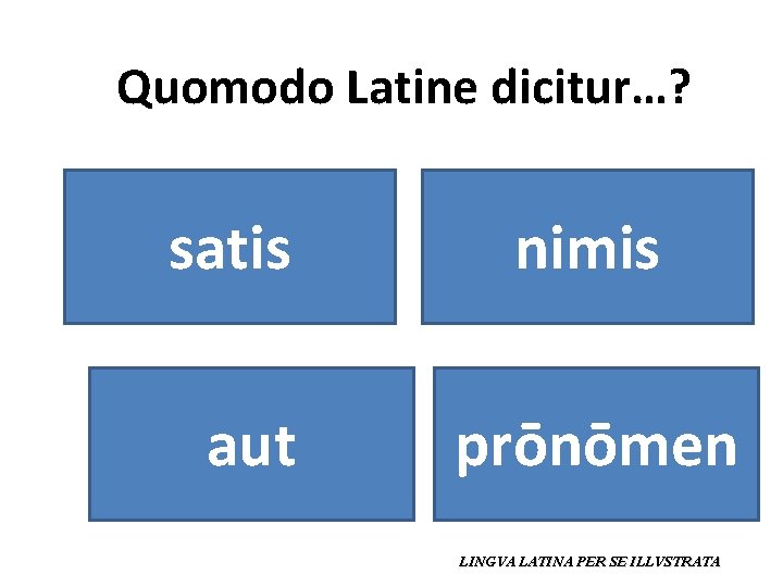 Quomodo Latine dicitur…? satis aut nimis prōnōmen LINGVA LATINA PER SE ILLVSTRATA 