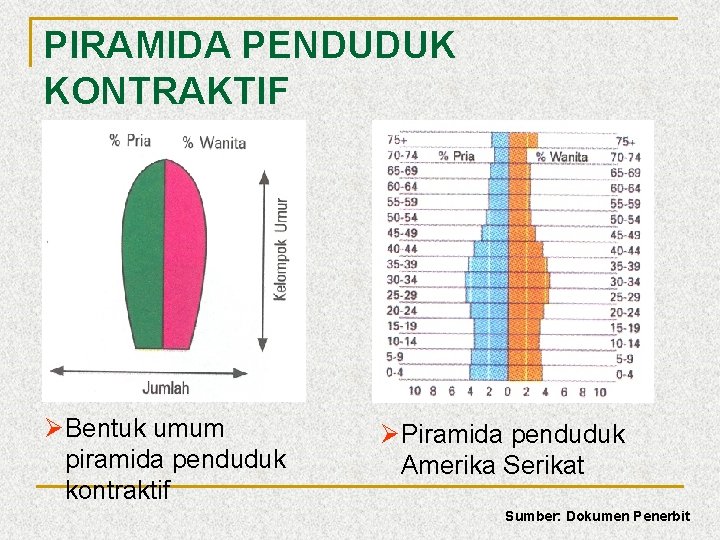 PIRAMIDA PENDUDUK KONTRAKTIF ØBentuk umum piramida penduduk kontraktif ØPiramida penduduk Amerika Serikat Sumber: Dokumen