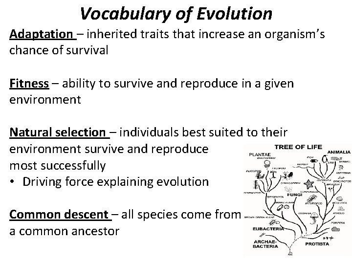 Vocabulary of Evolution Adaptation – inherited traits that increase an organism’s chance of survival