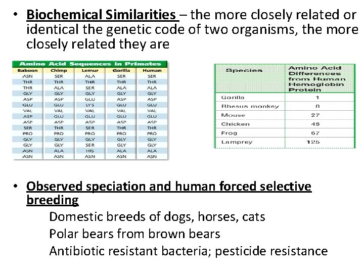  • Biochemical Similarities – the more closely related or identical the genetic code