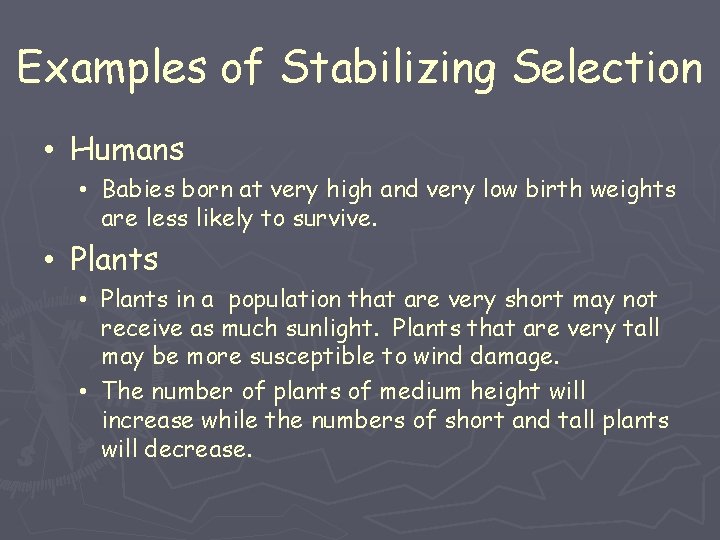 Examples of Stabilizing Selection • Humans • Babies born at very high and very
