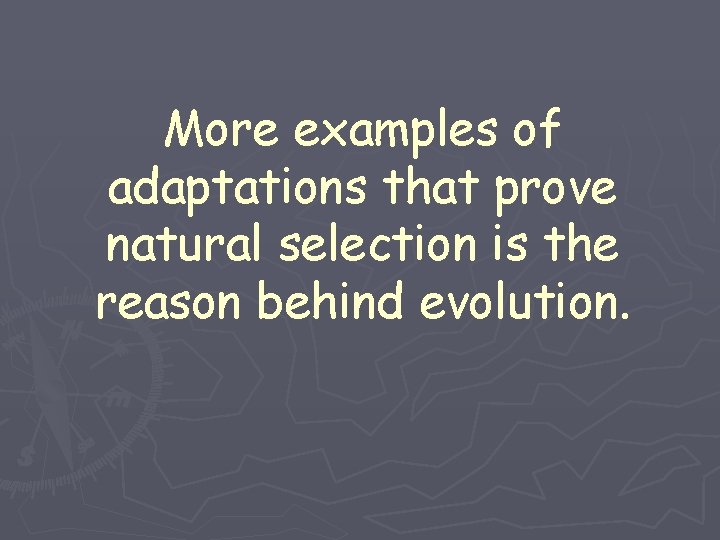 More examples of adaptations that prove natural selection is the reason behind evolution. 