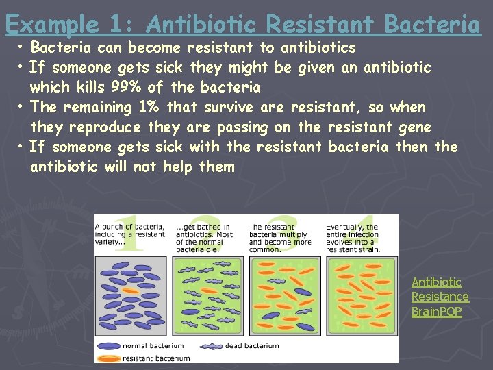 Example 1: Antibiotic Resistant Bacteria • Bacteria can become resistant to antibiotics • If