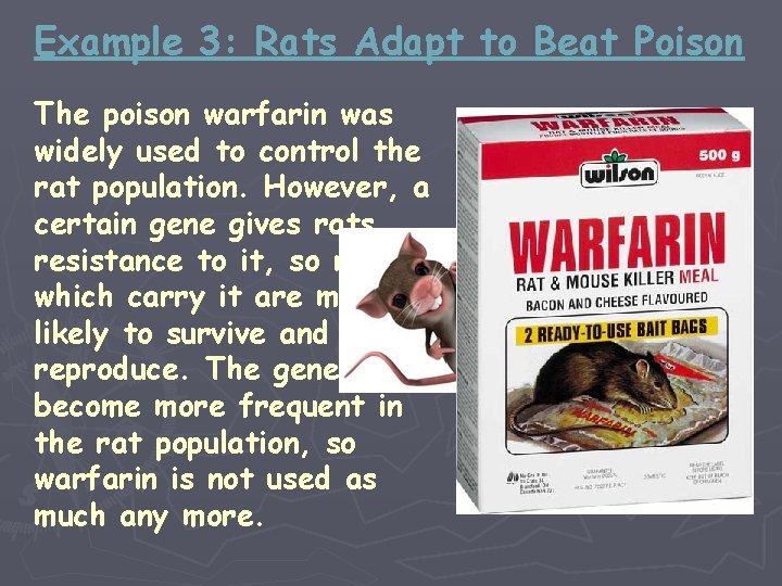 Example 3: Rats Adapt to Beat Poison The poison warfarin was widely used to