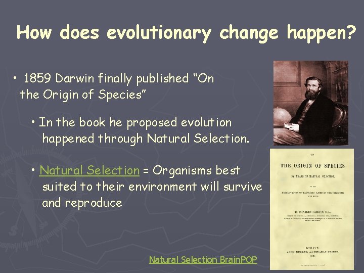How does evolutionary change happen? • 1859 Darwin finally published “On the Origin of