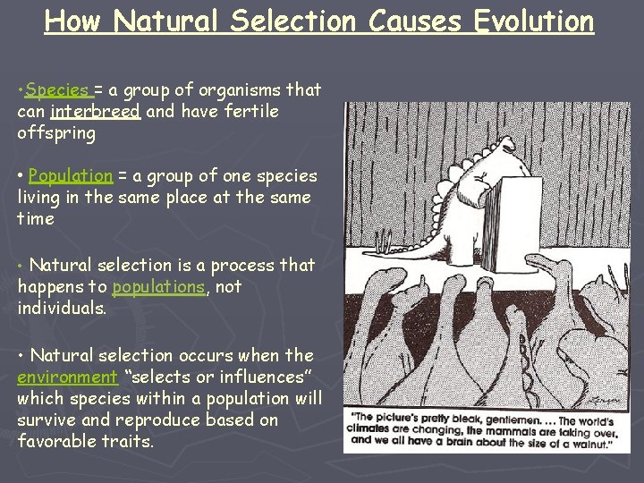 How Natural Selection Causes Evolution • Species = a group of organisms that can