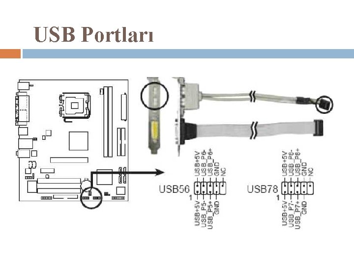 USB Portları 