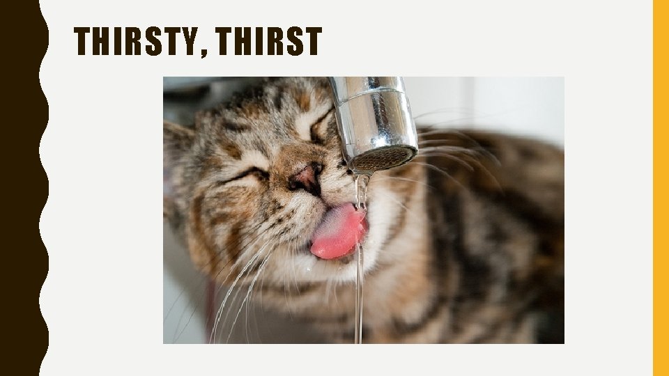 THIRSTY, THIRST 