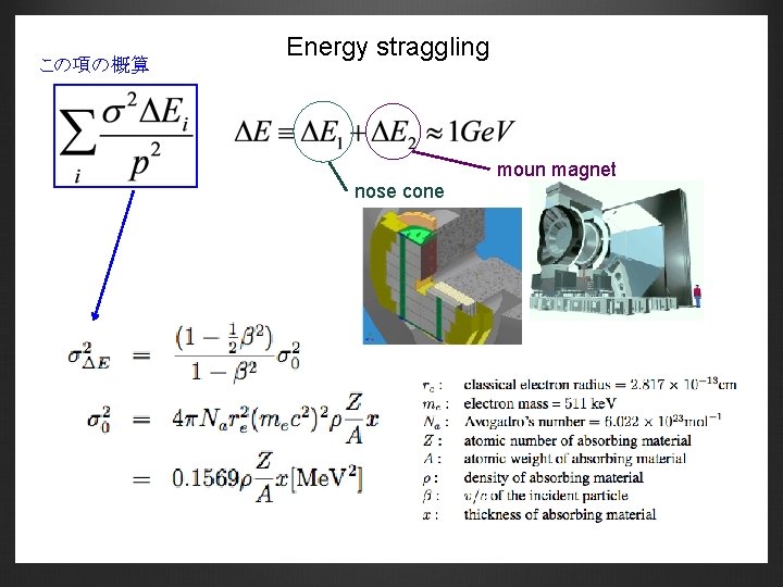 この項の概算 Energy straggling moun magnet nose cone 