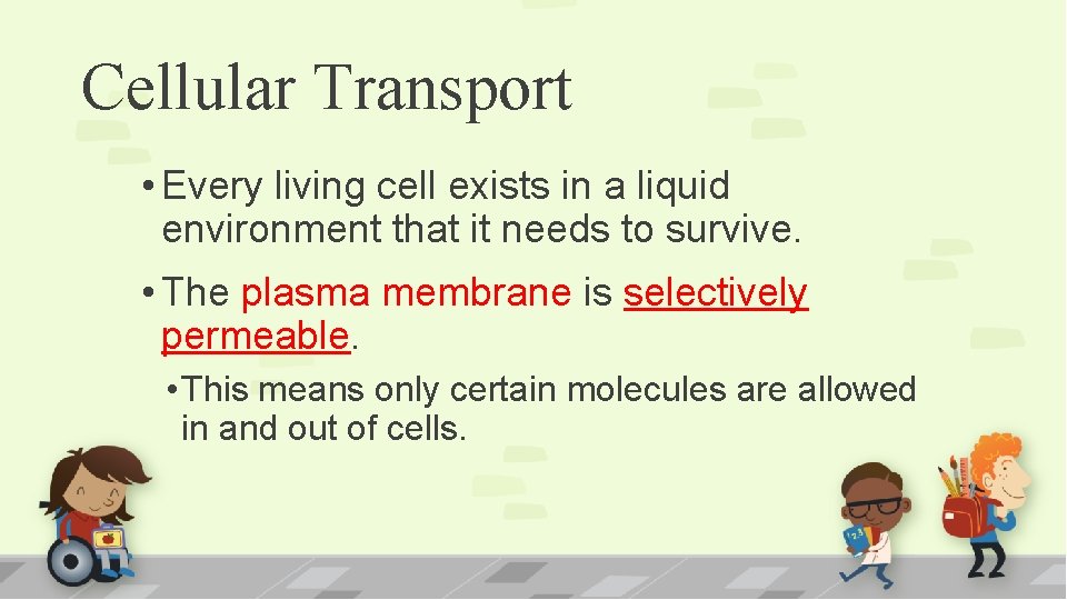 Cellular Transport • Every living cell exists in a liquid environment that it needs