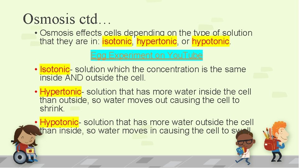 Osmosis ctd… • Osmosis effects cells depending on the type of solution that they