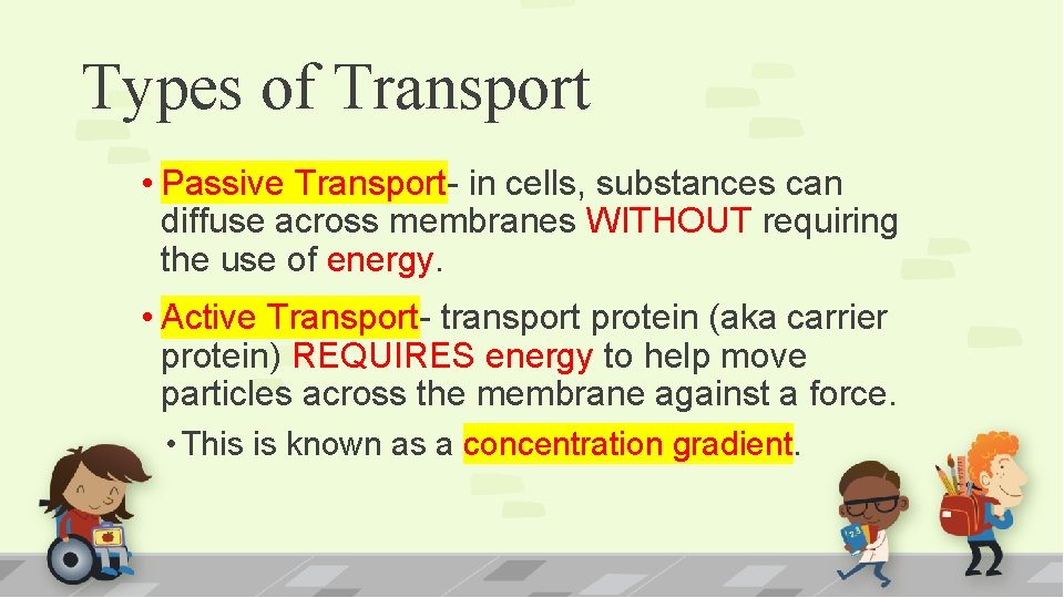 Types of Transport • Passive Transport- in cells, substances can diffuse across membranes WITHOUT